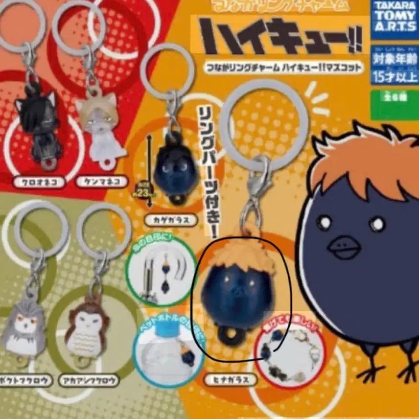 [BUNJANG] Haikyuu!! Hinata Shoyo Hinagarasu Charm / 하이큐 메지루시 히나타 히나가라스