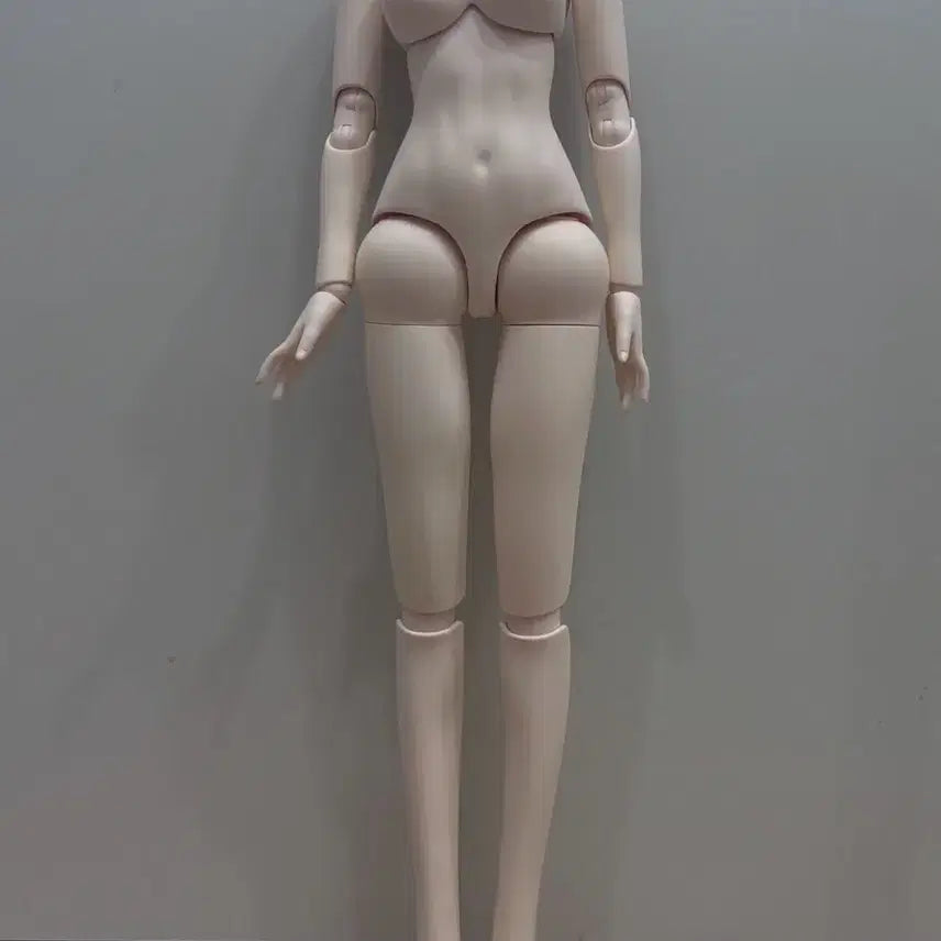 [BUNJANG] MSD Ball-Jointed Doll Body PVC / 구체관절인형 MSD 바디