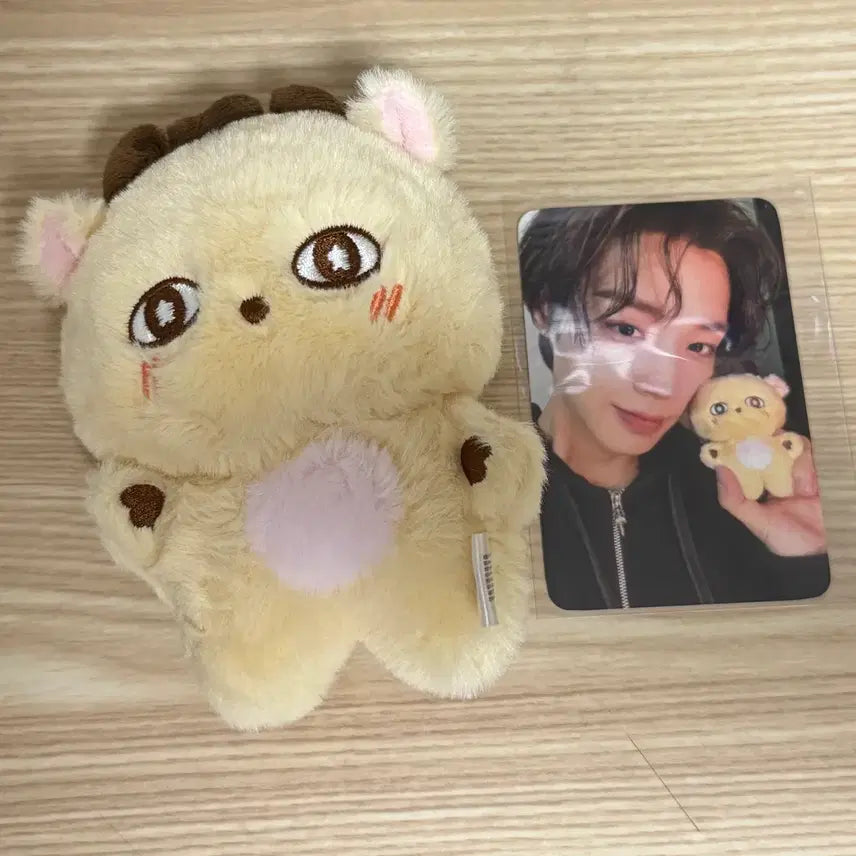 [BUNJANG] Park Ji Hoon Sosimi Doll Photocard Bundle Set / 박지훈 소심이 인형