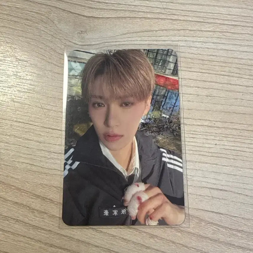 [BUNJANG] ALPHADRIVE1 ARNO Jang Jiahao Photocard / 알디원 알파드라이브원 아르노 장지아하오 포카