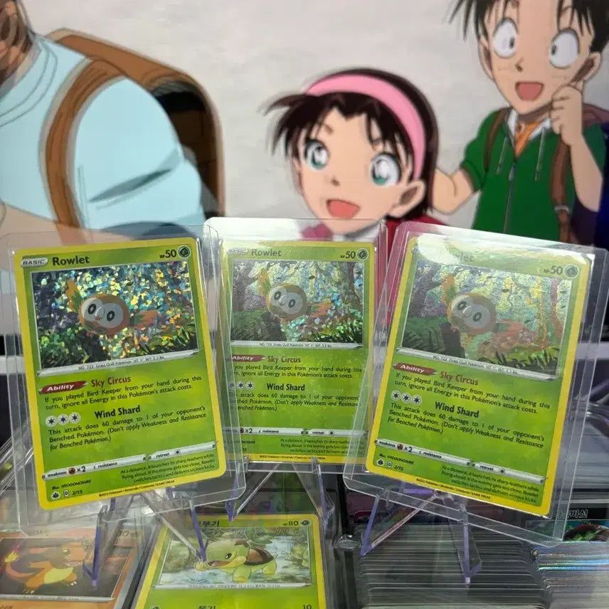 [BUNJANG] Pokemon Cards Bundle Set - North America Edition / 북미 나몰빼미 포켓몬카드 일괄판매