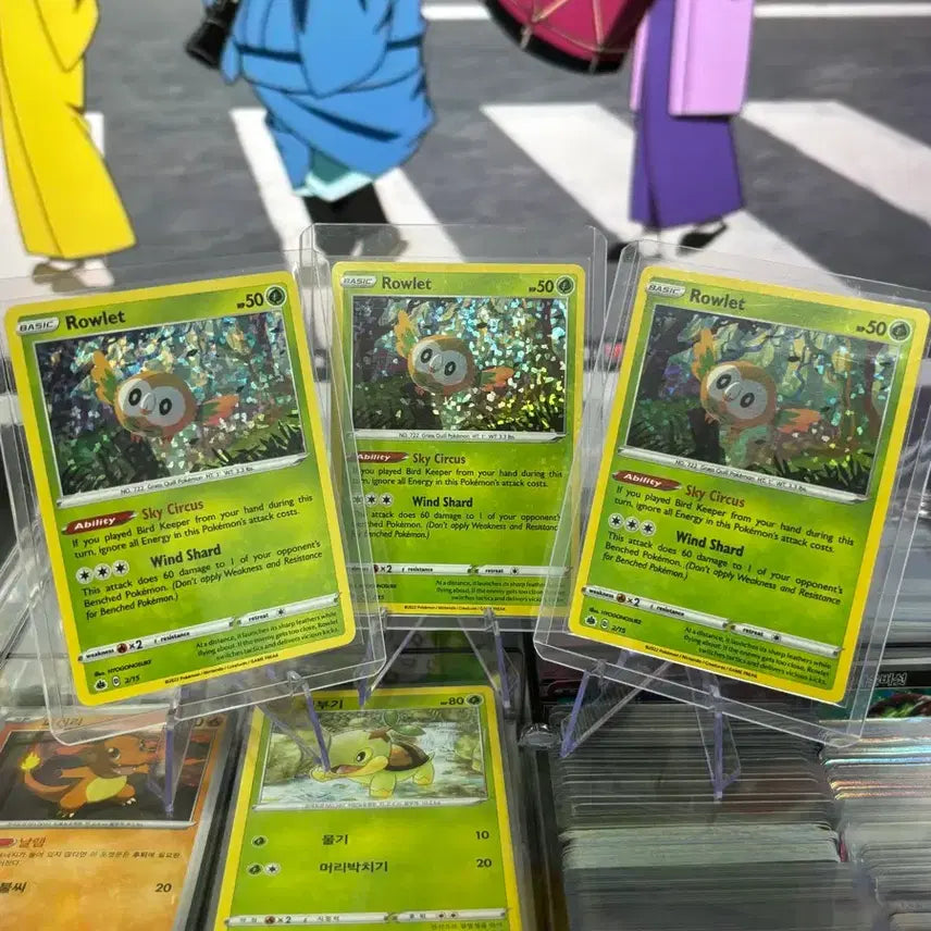 [BUNJANG] Pokemon Cards Bundle Set - North America Edition / 북미 나몰빼미 포켓몬카드 일괄판매
