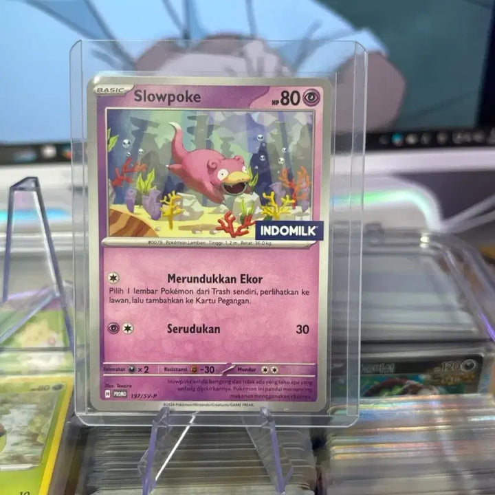 [BUNJANG] Pokemon Card Slowpoke (Yadon) - North American Edition / 북미 야돈 포켓몬카드