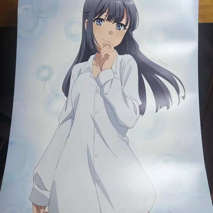 [BUNJANG] Seishun Buta Yarou Makise Shoko Tapestry / 청춘돼지 마키노하라 쇼코 태피리스트