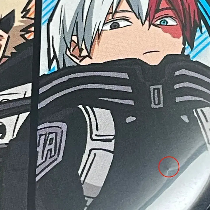 [BUNJANG] My Hero Academia World Heroes&