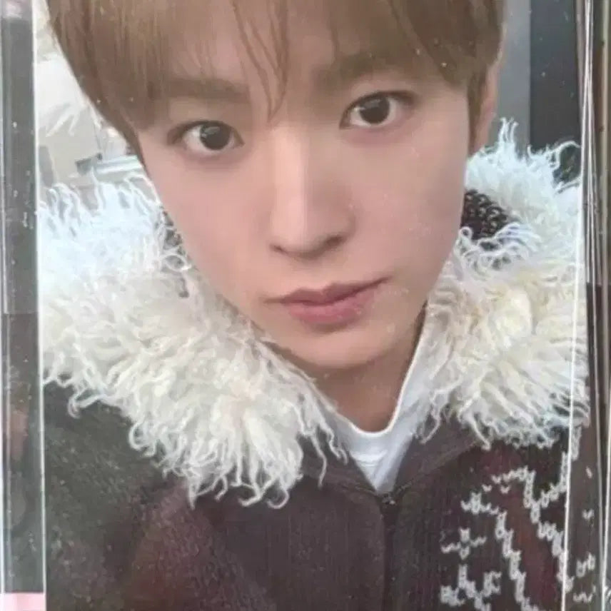 [BUNJANG] NCT WISH Yushi WishNini BubbleNini Room Plush Photocard / 엔시티 위시 유우시 위시니니 버블냥니 룸플러시 포카