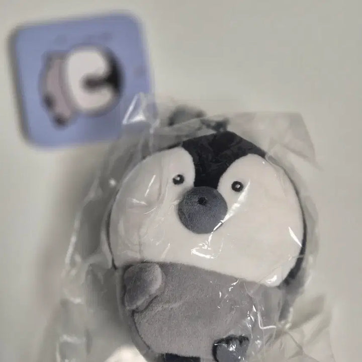 [BUNJANG] Nagano Market Penguin Mascot / 나가노마켓 나가노수족관 펭귄 마스코트