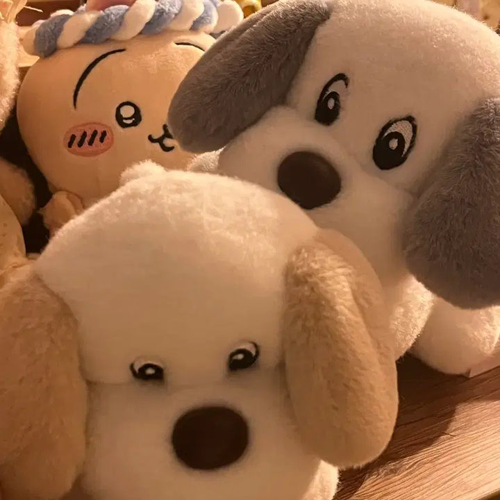 [BUNJANG] Classic Puppy Set / 고전 퍼피 세트