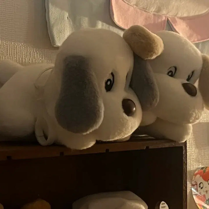 [BUNJANG] Classic Puppy Set / 고전 퍼피 세트