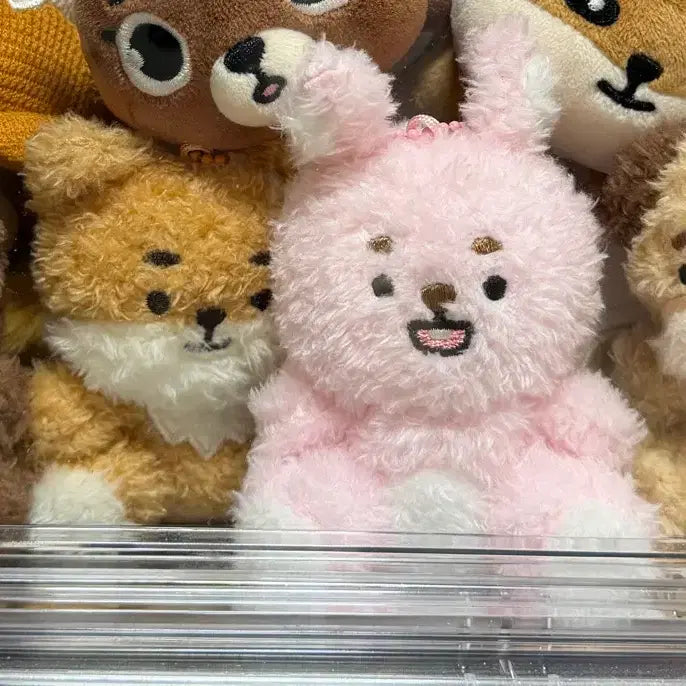 [BUNJANG] Day6 Denimals Sitting Ver. Plush Doll / 데이식스 데니멀즈 앉은멀즈