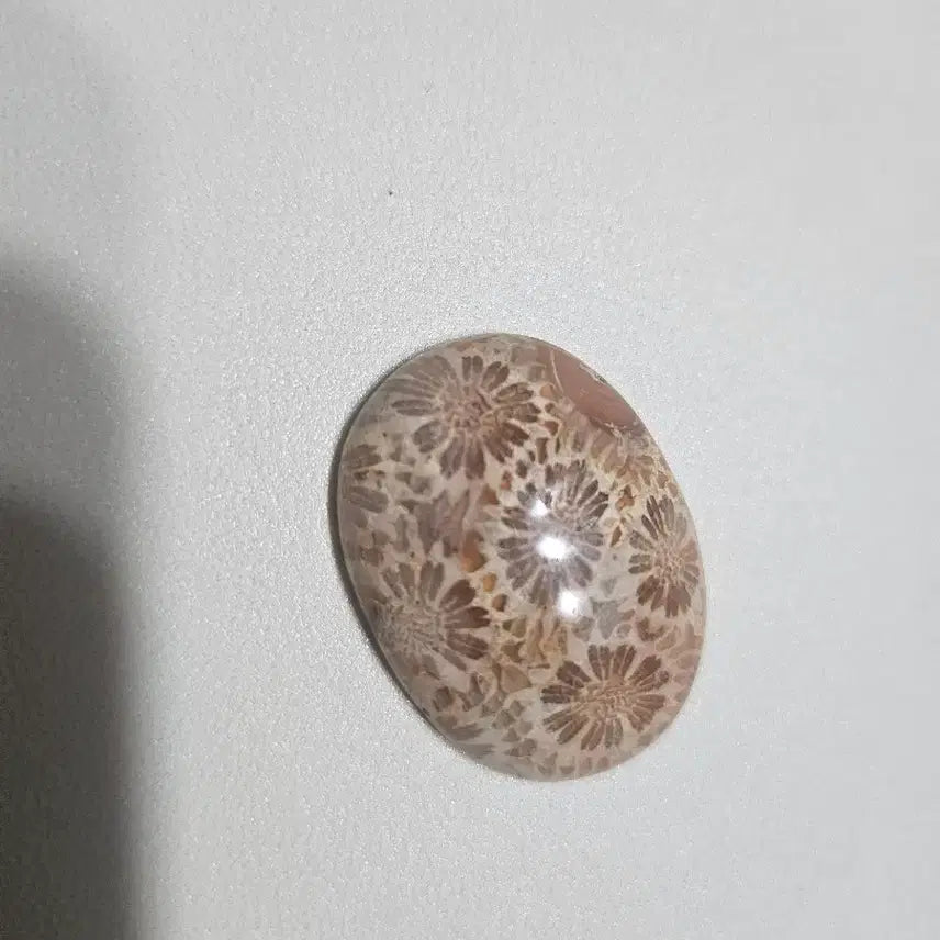 [BUNJANG] Natural Stone Cabochon Mix (6 Types) / 천연석 캐보션 믹스 6종