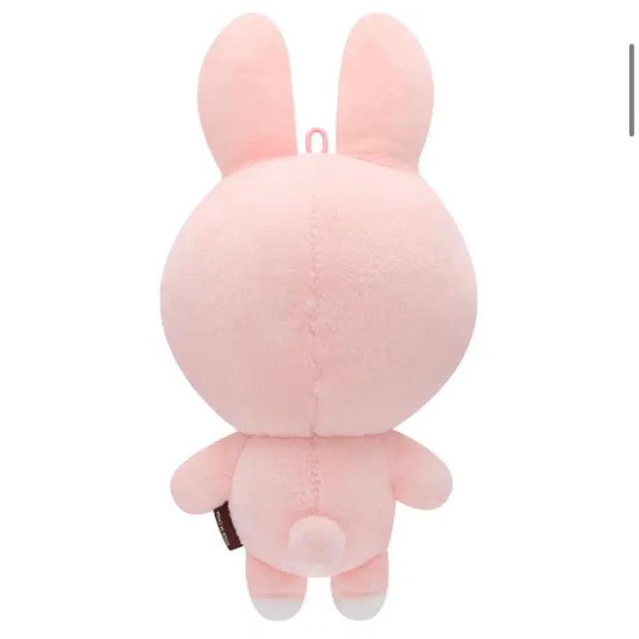 [BUNJANG] Day6 Denimals 2024 Feel Figure / 데이식스 데니멀즈 2024필
