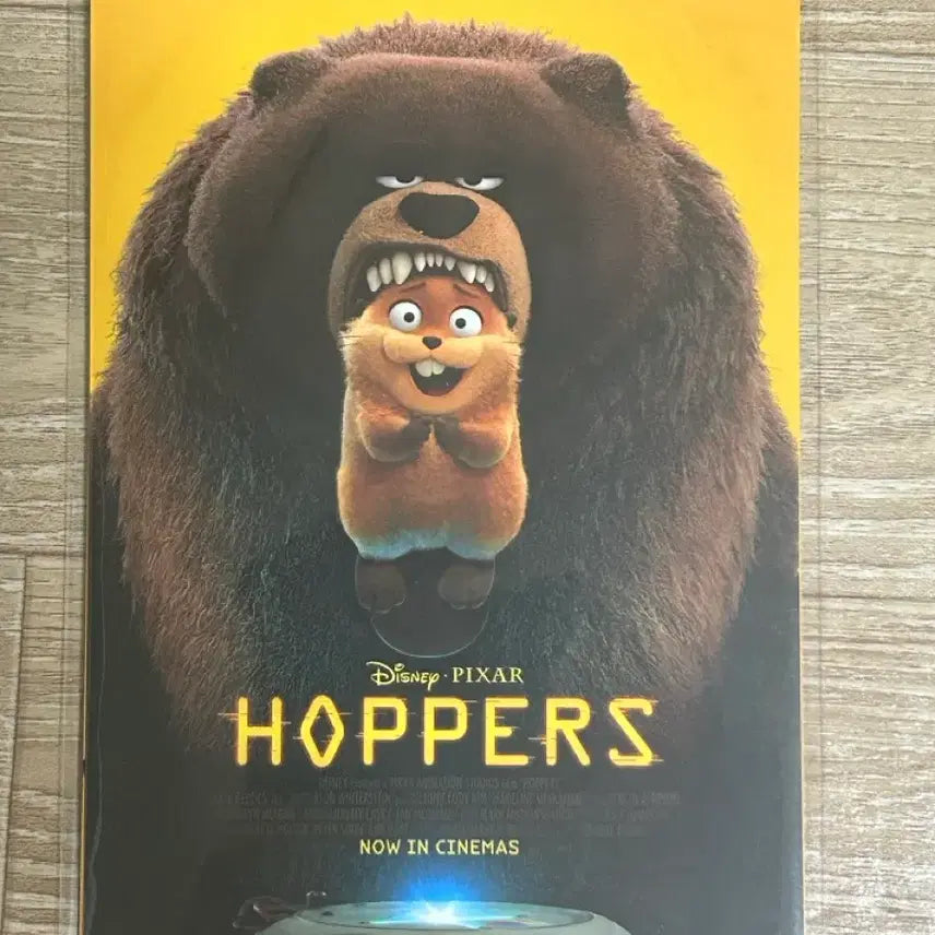 [BUNJANG] Hopper&