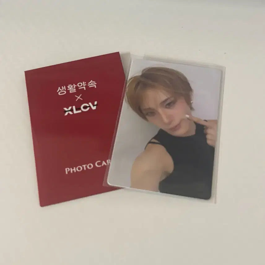 [BUNJANG] xlov Haru Photocard / xlov 하루 생활약속 포카
