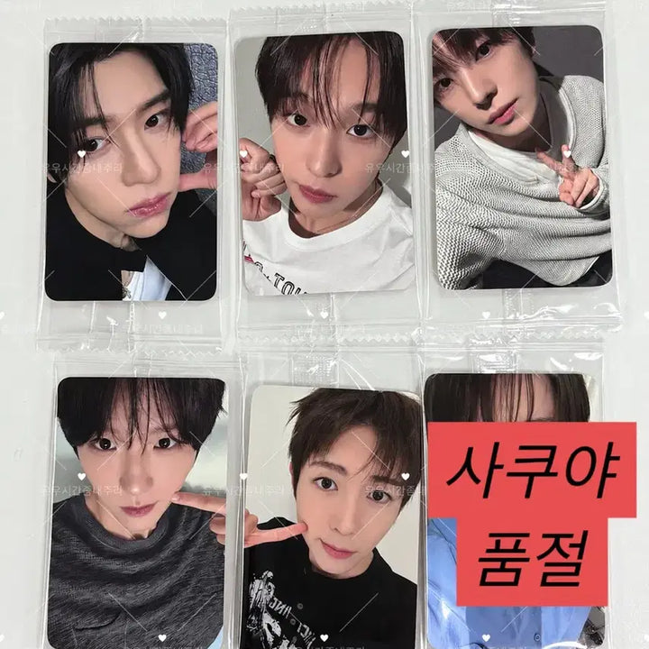 [BUNJANG] NCT WISH 0730 KETAPO 3rd POB / (사쿠야품절)엔시티위시 0730 케타포 3차 미공포