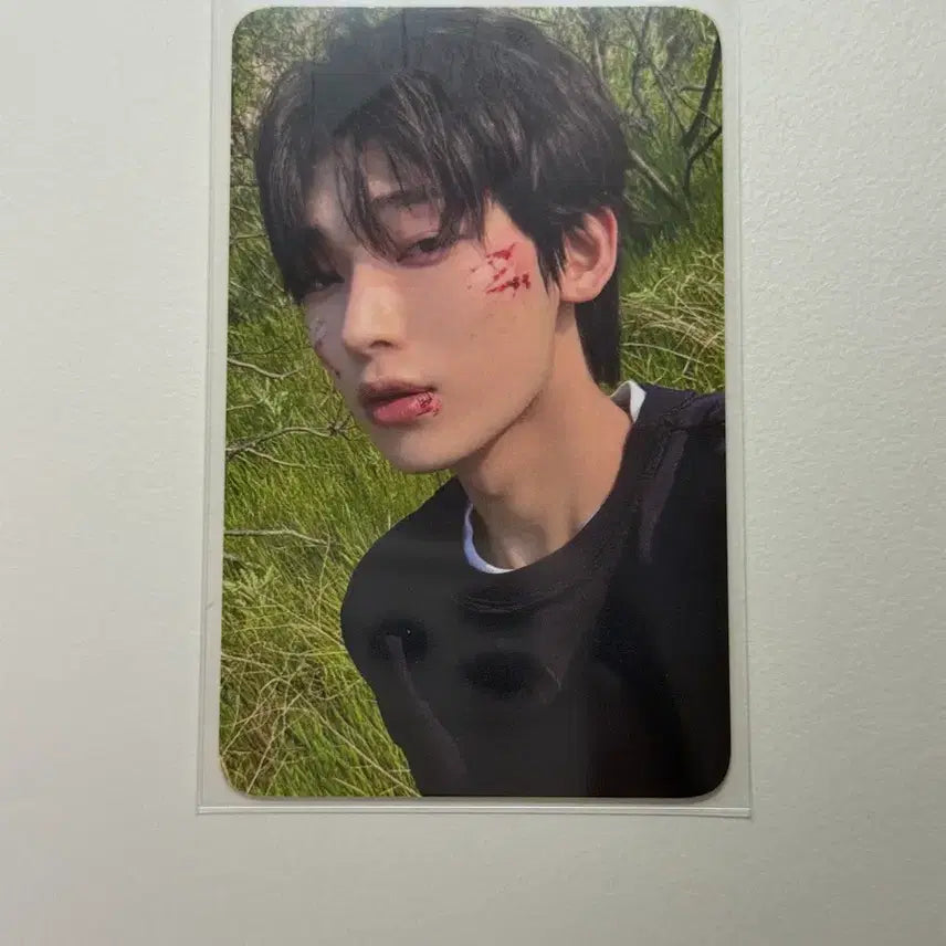 [BUNJANG] Enhypen Sunoo Bloody Paradise Stage Photocard / 엔하이픈 선우 블러디 파라다이스 bloody paradise 공방 포카 양도