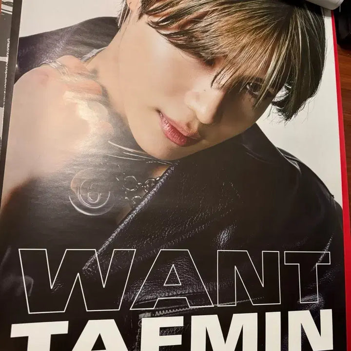 [BUNJANG] Taemin (Shinee) Want Poster Bundle Set / 태민 원트 want 포스터 일괄
