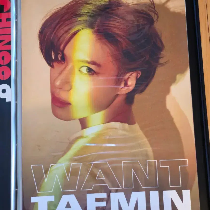 [BUNJANG] Taemin (SHINee) Want Album Poster Set (4 Types) / [set] 태민 want 앨범 포스터 4종