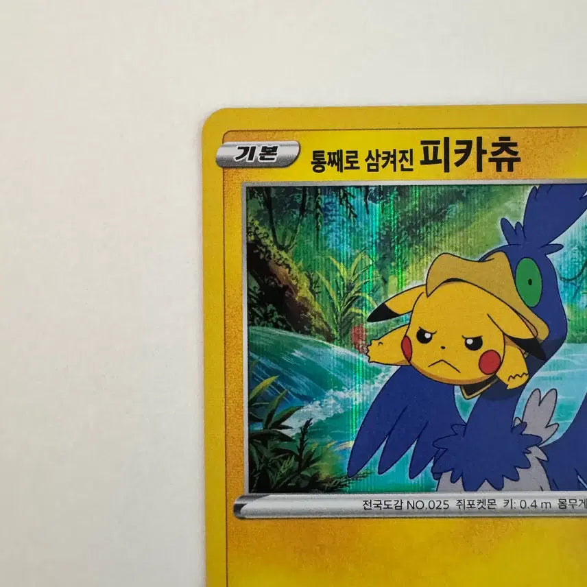 [BUNJANG] Pikachu Stuffed Toy / 통삼피 (통채로 삼켜진 피카츄) 판매합니다.