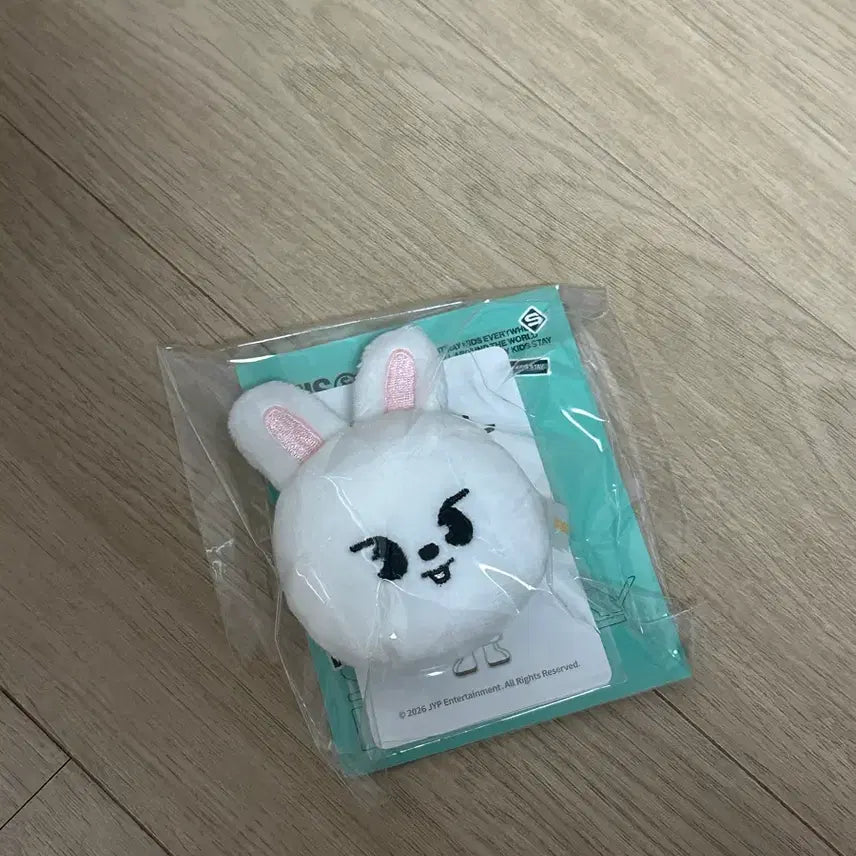 [BUNJANG] This&amp;That SKZOO Ribbit Magnet Holder (Sealed) / this&amp;that 팝업 리빗 마그넷홀더 미개봉 스키즈 스키주