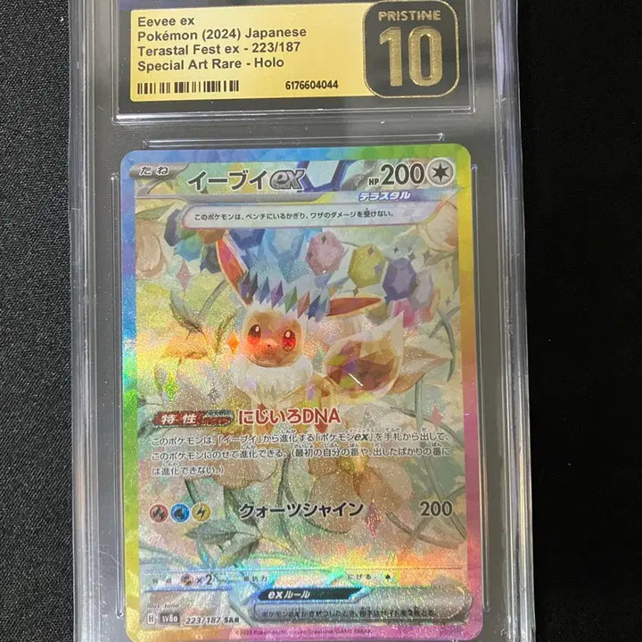 [BUNJANG] Teraslate Eevee CGC 10 Pristine Japanese Exclusive / 테라스탈 이브이 일판 cgc 프리스틴 10점