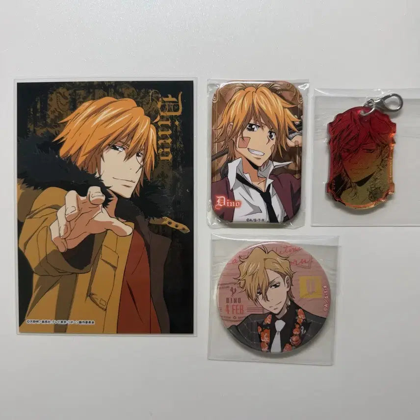 [BUNJANG] Katekyo Hitman Reborn! Dino Goods Set (Bromide Card, Keychain, Can Badge) / 가정교사 히트맨 리본 가히리 디노 굿즈세트 (브로마이드 카드,키링,캔뱃지)