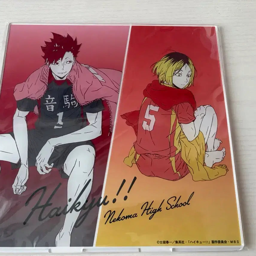 [BUNJANG] Haikyuu!! Nekoma High School Tetsuro Kuroo &amp; Kenma Kozume Big Acrylic Stand / 하이큐 네코마 빅아크릴 스탠드 쿠로오 테츠로 코즈메 켄마