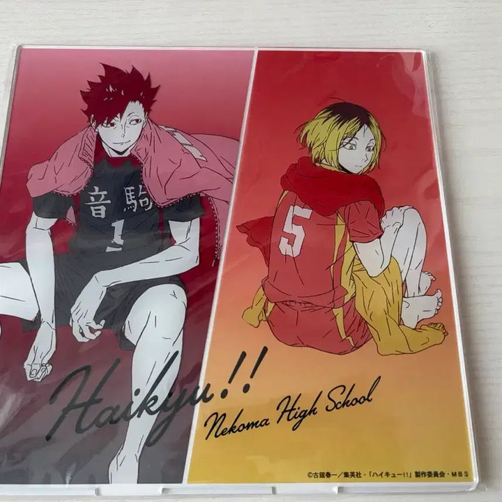 [BUNJANG] Haikyuu!! Nekoma High School Tetsuro Kuroo &amp; Kenma Kozume Big Acrylic Stand / 하이큐 네코마 빅아크릴 스탠드 쿠로오 테츠로 코즈메 켄마