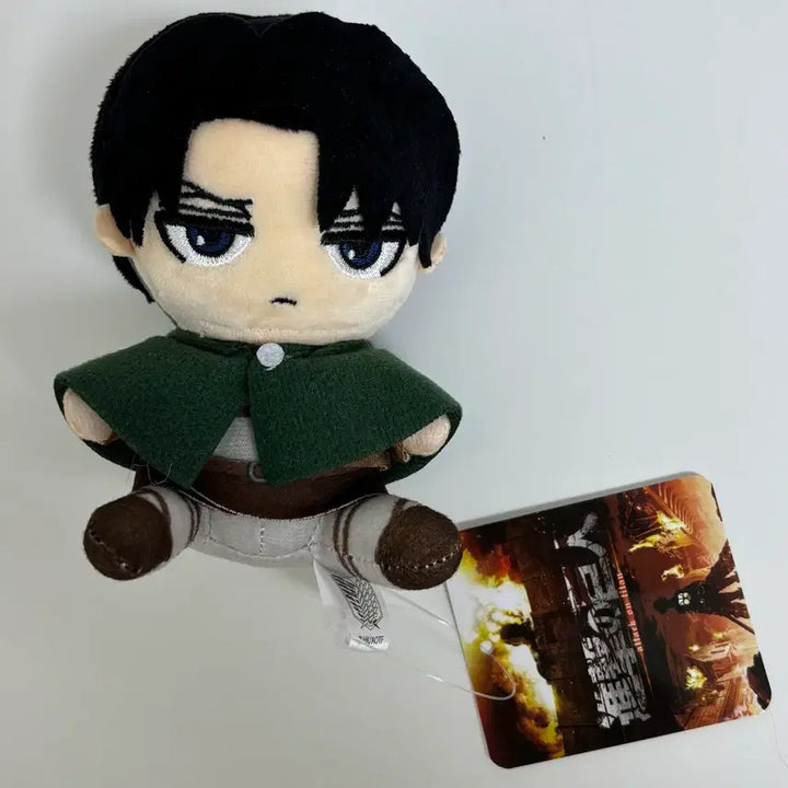 [BUNJANG] Attack on Titan Levi Plush Doll / 진격거 리바이 누이구루미 인형