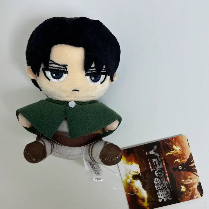 [BUNJANG] Attack on Titan Levi Plush Doll / 진격거 리바이 누이구루미 인형