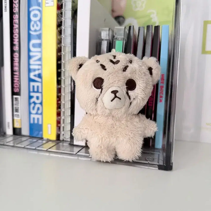[BUNJANG] Chitaree Doll / 치타리 인형