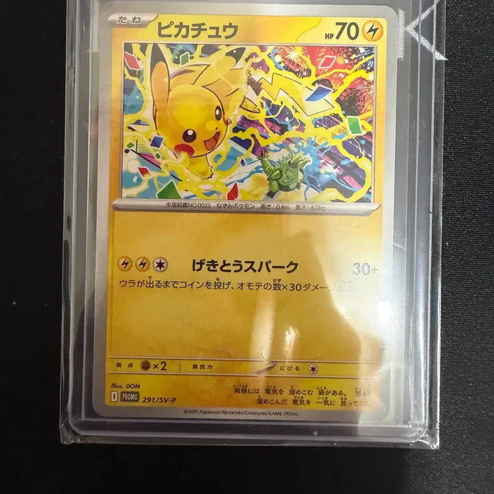 [BUNJANG] Pokémon Card First Partner Series Vol. 3 / 포켓몬카드 퍼스트 파트너 시리즈3탄 + 피카츄 프로모 카드