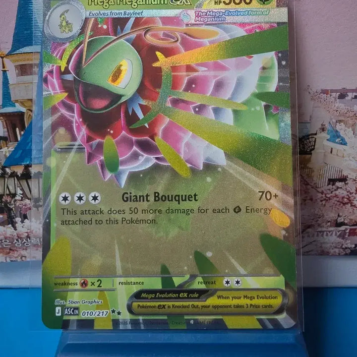 [BUNJANG] North American Pokémon Card Meganium / 북미 포켓몬카드 메가메가니움