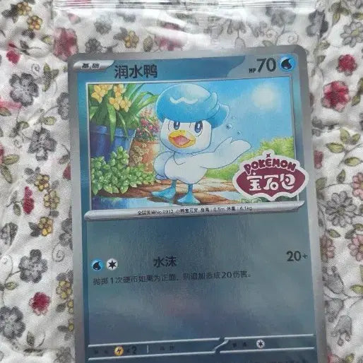[BUNJANG] Pokemon Card Promo Set / 포켓몬 카드  프로모