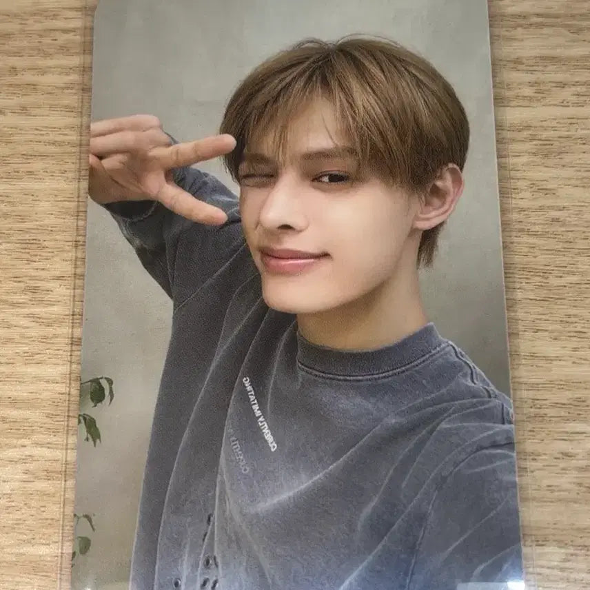[BUNJANG] Curtis James Yeti Mall Photocard / 코르티스 제임스 예티몰 럭드 포카