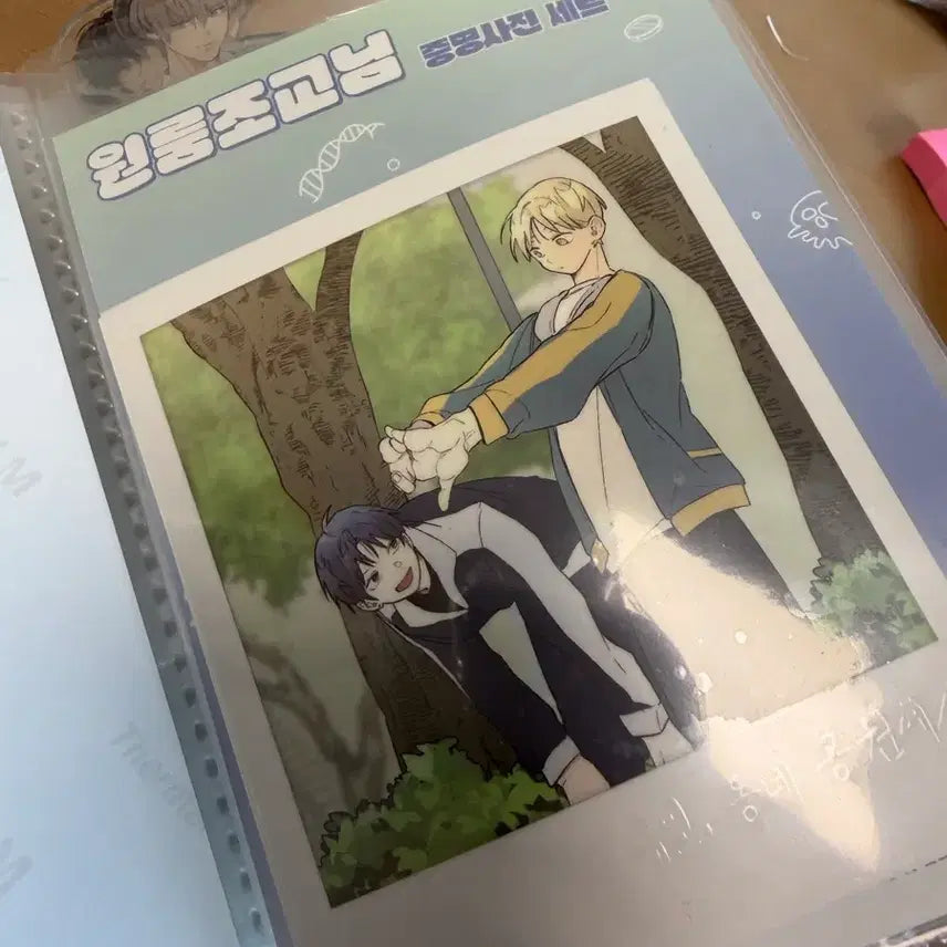 [BUNJANG] Seventeen Seungkwan &