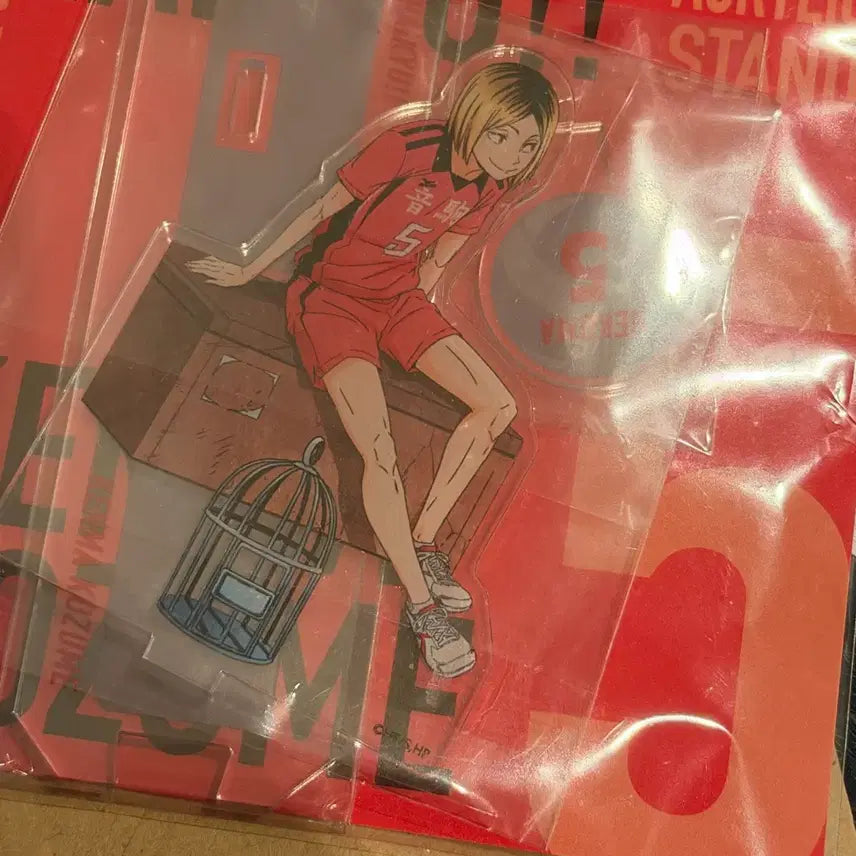 [BUNJANG] Haikyuu!! Kenma Kozume Chronicle Limited Edition Acrylic Stand / (반택포) 켄마 아크릴 양도 하이큐 켄마 클로니클 희귀매물