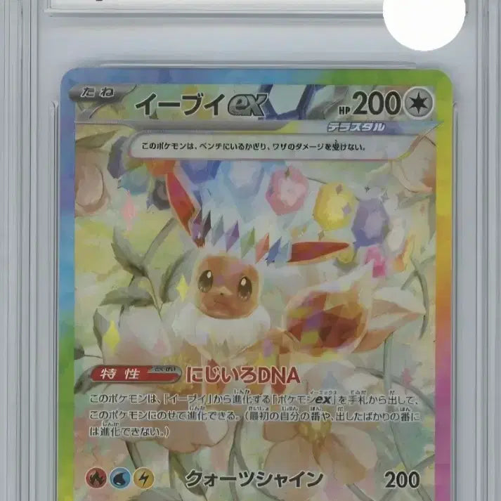 [BUNJANG] Eevee SAR BRG10 Japanese Pokemon Card / 테라스탈 이브이SAR BRG10 팝니다(일판)