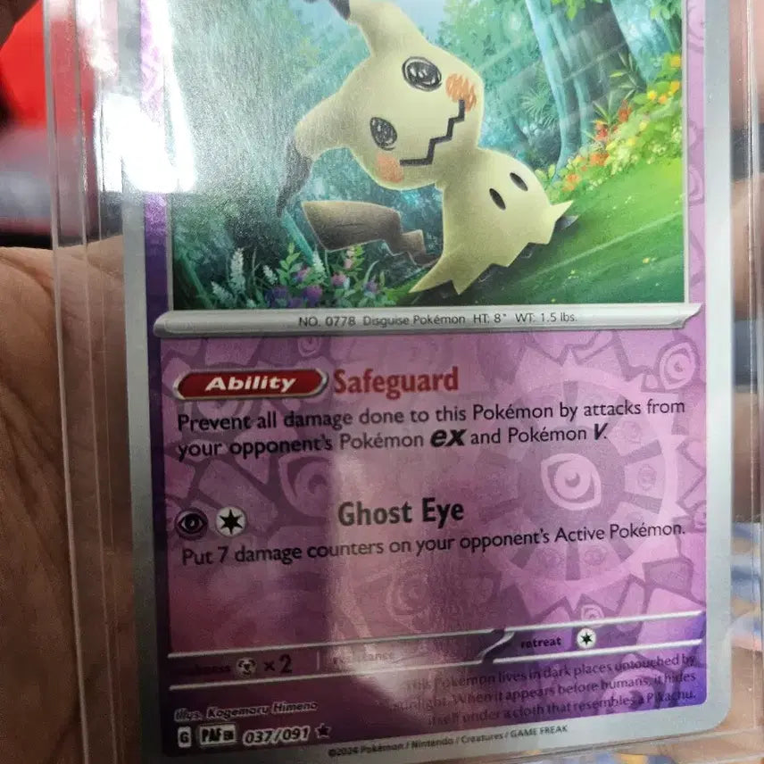 [BUNJANG] Pokemon Mimikyu Card Bundle Set / 포켓몬카드 따라큐 일괄 스월 있어요
