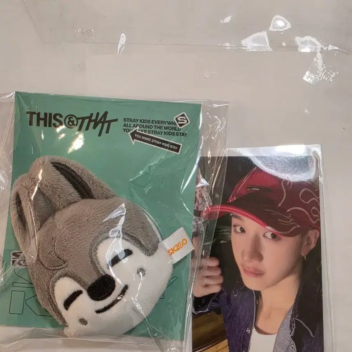 [BUNJANG] Stray Kids Bang Chan Wolf Chan Popup Magnetic Grip Tok Holder / 스트레이키즈 스키주 방찬 울프찬 팝업 그립톡, 마그네틱 홀더
