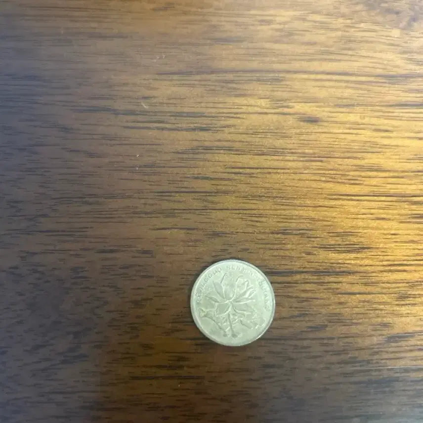 [BUNJANG] Chinese 5 Jiao Coin / 중국 5각 동전