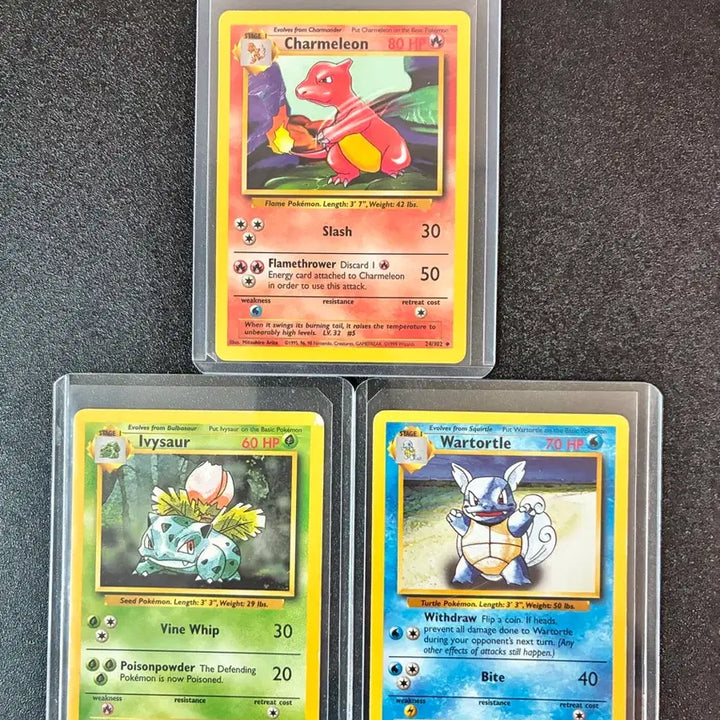 [BUNJANG] 1999 English Vintage Pokemon Cards - Charizard, Venusaur, Blastoise / 1999 영판 리자드 이상해풀 어니부기 빈티지 포켓몬카드