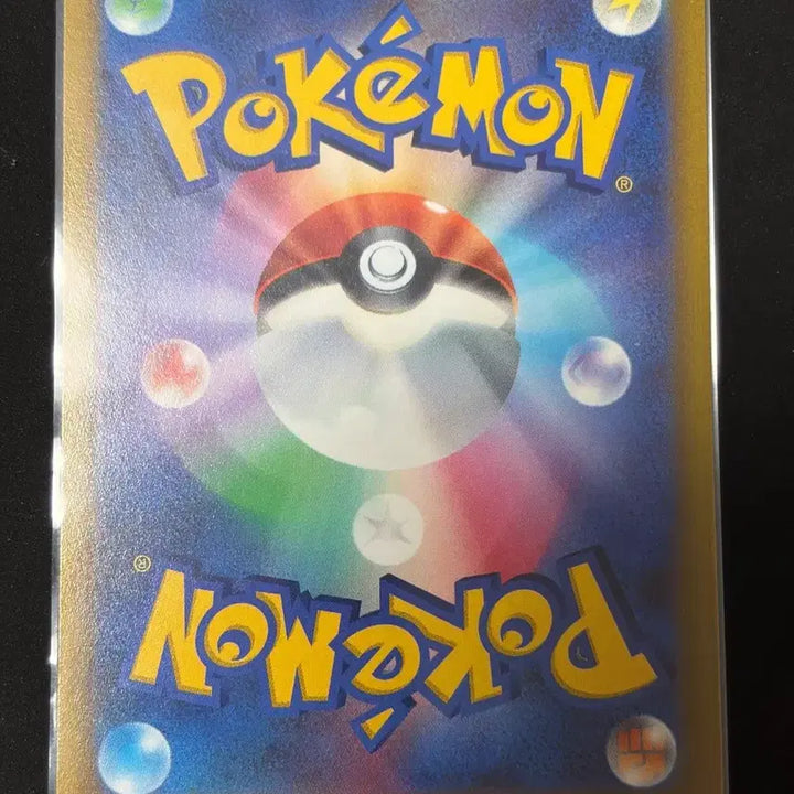 [BUNJANG] Pokemon Card Mao &amp; Lana TAG TEAM PROMO 256/S-P / 포켓몬 카드 마오&amp;수련 TAG TEAM PROMO 256/S-P