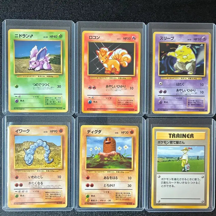 [BUNJANG] 1996 First Edition Japanese Pokemon Card Bundle Set / 1996 초기 구판 일판 포켓몬카드 일괄