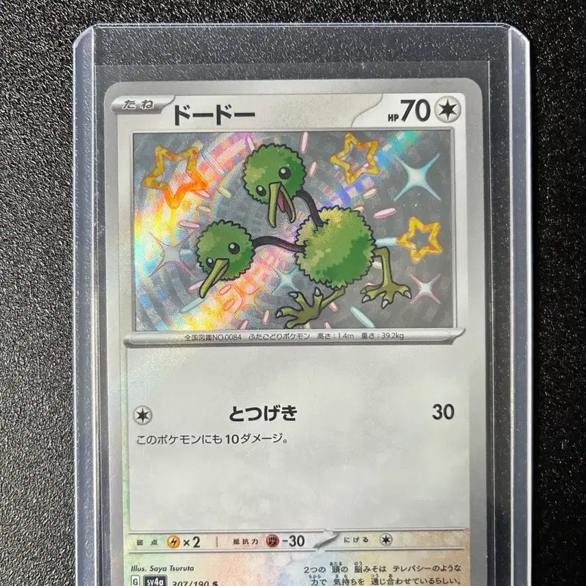 [BUNJANG] Japanese Shiny Dudu Holo Pokemon Card / 일판 이로치 두두 홀로 포켓몬카드