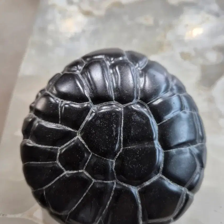 [BUNJANG] Turtle Pattern Stone (10-11cm) / 거북문석 10~11~5.5