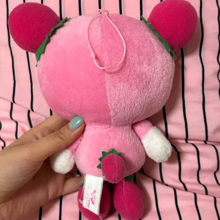 [BUNJANG] Sanrio Pop &