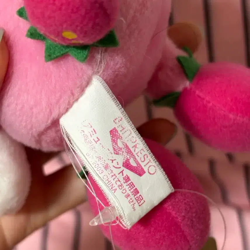 [BUNJANG] Sanrio Pop &