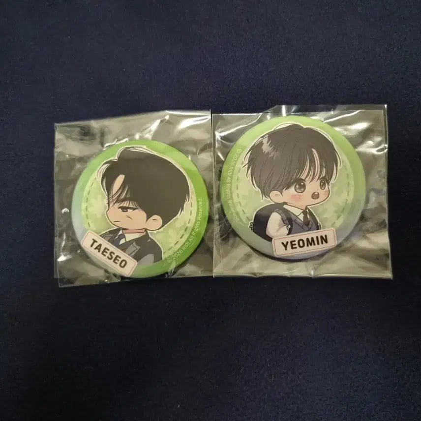 [BUNJANG] Ridigo Daily Part-time SD Can Badge Bundle Set / 리디고 일간알바 SD 캔뱃지 일괄양도