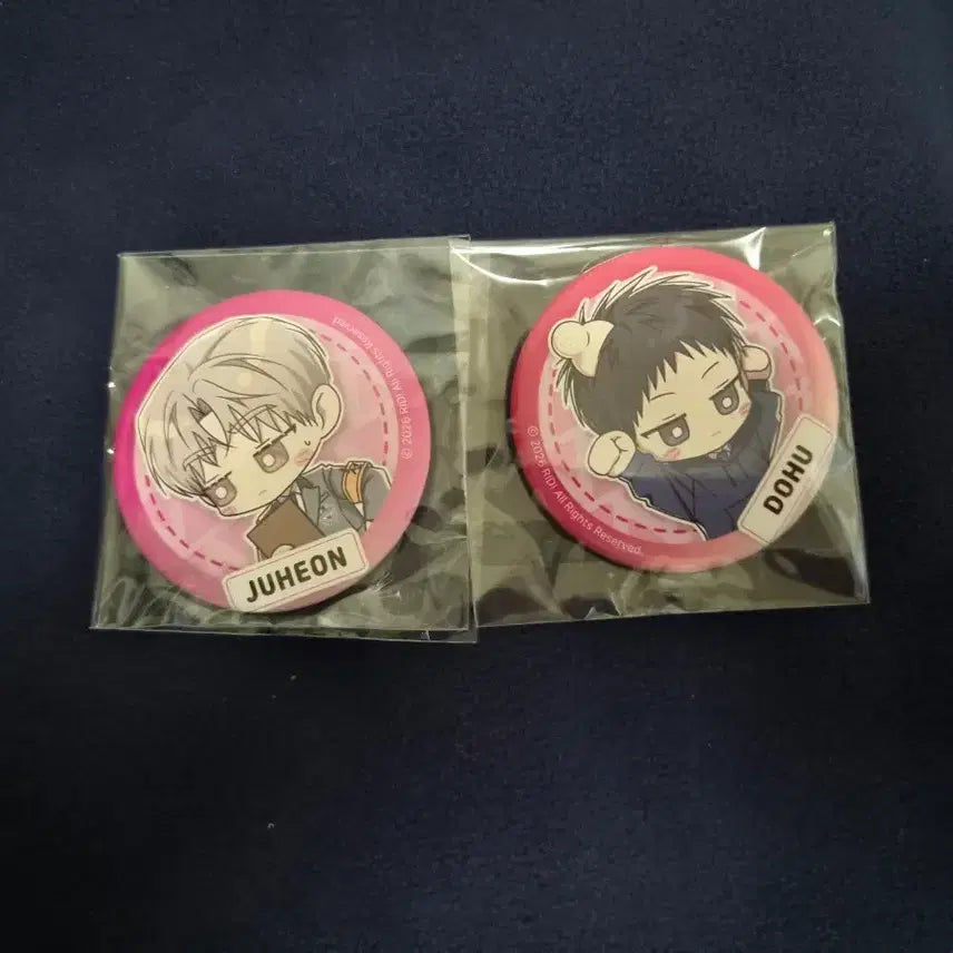 [BUNJANG] Ridygo Gongsa9 SD Can Badge Bundle Set / 리디고 공사구 SD 캔뱃지 일괄양도